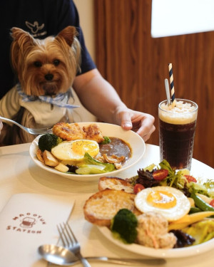 【好運站】萬華寵物友善咖啡廳，還有可愛博美店狗妹妹來接待～ 內有菜單