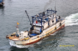 海、漁港風情系列：南方澳漁港＿漁船漂亮出海（二）