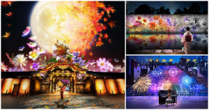 京都最美燈光秀來了！京都「秋季5大燈光秀」燦爛開跑，二條城「光影賞花盛宴」、北野天滿宮「楓紅夜間點燈」，NAKED神級打造要拍爆。