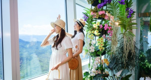 101雲端花藝展！台北101打造「蕨‧蘭之美」秘境花園觀景台，屏東縣民再加碼門票8折優惠。