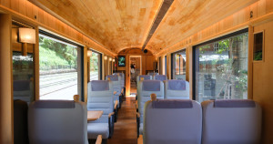 阿里山福森號開箱！最美阿里山檜木火車「福森號」9大特色、路線、售價一次看，九宮格火車便當、森林演奏會獨家限定。