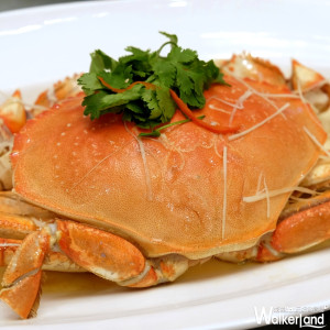 海鮮控真的笑了！新加坡第一名海鮮餐廳「珍寶海鮮」插旗信義區，招牌國寶級螃蟹讓海鮮控徹底執行「空盤計畫」。