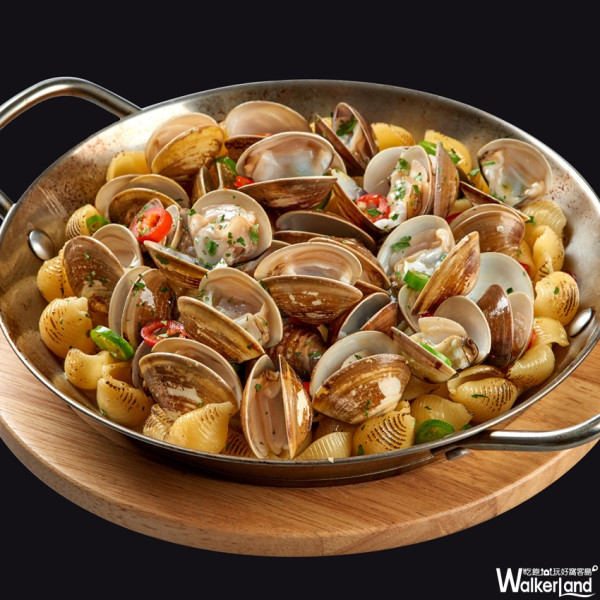老闆你也太佛心了吧！「堤諾義式比薩」新菜推CP值超高的「白酒蛤蜊貝殼烤麵」！多到滿出來的蛤蜊讓你驚呼連連！