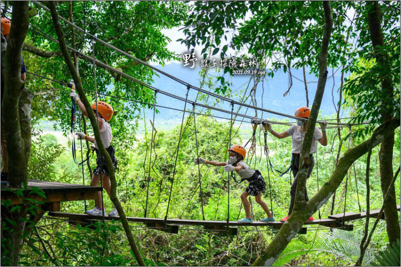 野猴子探險森林 | 樹冠層間刺激的高空滑索