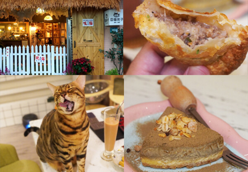 【新北市】囧貓苑子｜超人氣貓咖啡廳推薦，店家自製餐點有水準，一個盡情吸貓、撸貓的好地方