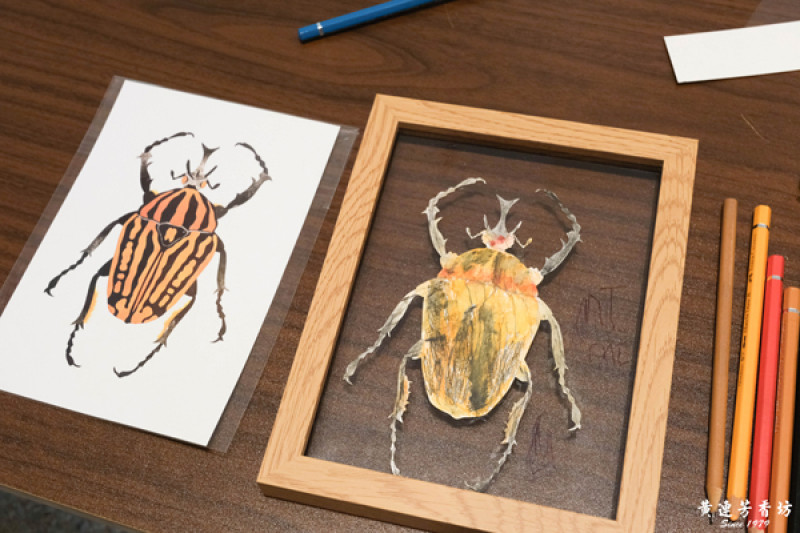 華山文創園區華麗島–甲蟲拼貼畫課程體驗