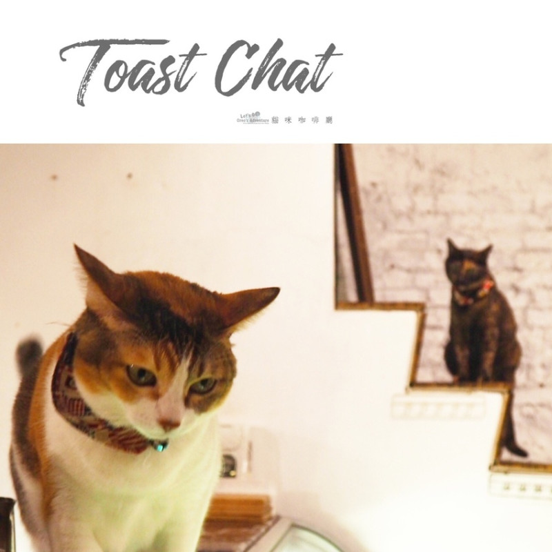 【台北】捷運國父紀念館站 - Toast Chat 肥貓咪餐廳/美味早午餐